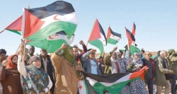 الاحتلال المغربي يهدّد السلام في المنطقة وأوروبا