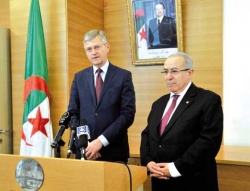 دور الجزائر أساسي وضروري في حل أزمات القارة الإفريقية