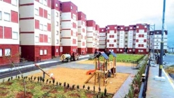 بومرداس.. توزيع 40 وحدة سكنية ببلدية تاورقة