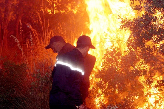 غليزان: حريق يأتي على 6 هكتارات من المحاصيل الفلاحية بالحمادنة