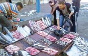 طاولات عشوائية لبيع التونة تغزو شوارع دلس
