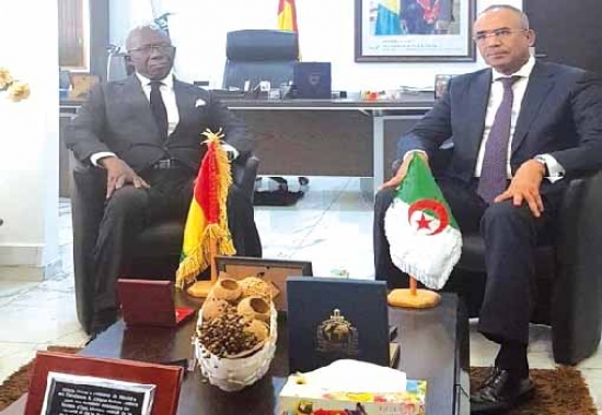 ضرورة تفعيل آليات متابعة قرارات اللجنة  المشتركة الجزائرية-الغينية