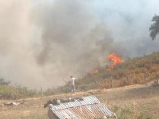 سكيكدة : هلاك شقيقين في حريق مهول بغابة بوسحابة