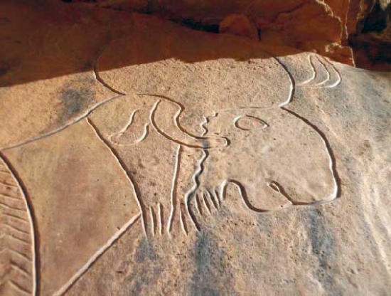 نقوش حجرية وآثار ديناصورات لاحمة كتبت تاريخ «جيريفيل»