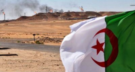 عرقاب : الجزائر تواصل العمل مع شركائها من اجل ضمان استقرار سوق النفط