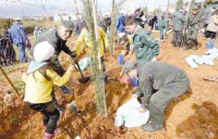 غرس 13 ألف شجرة مثمرة على امتداد 97 هكتار