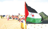 الاحتلال المغربي  يتمادى في نهب الثروات الصحراوية