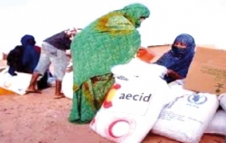 قافلة مساعدات غذائية باتجاه مخيمات اللاجئين الصحراويين