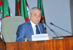 تقرير المصير مبدأ ثابت للجزائر
