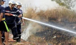 تيسمسيلت: حريق يلتهم أكثر من 15 هكتارا من الأشجار الغابية ببلدية الأربعاء