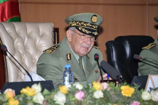 قايد صالح: الجيش الوطني الشعبي والشعب لديهما &quot; نفس النظرة لجزائر الغد&quot;