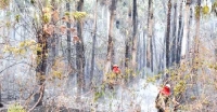 البرازيل ترفض مساعدة مجموعة السبع لإخماد حرائق الأمازون