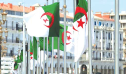 جزائر الأحرار.. دبلوماسية الثوابت والمواقف المشرفة
