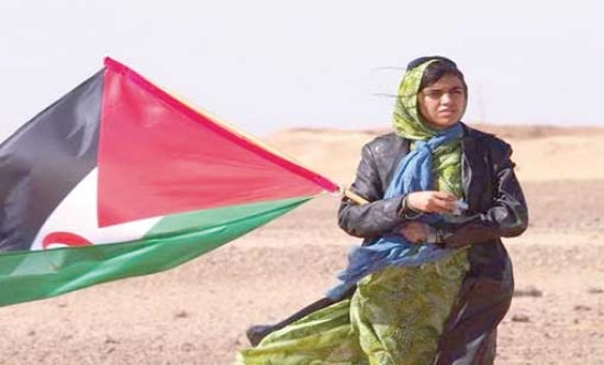 إدانة دولية لانتهاكات حقوق الإنسان في الصحراء المحتلة