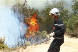 تسجيل أكثر من 500 حريق  خلال موسم الاصطياف
