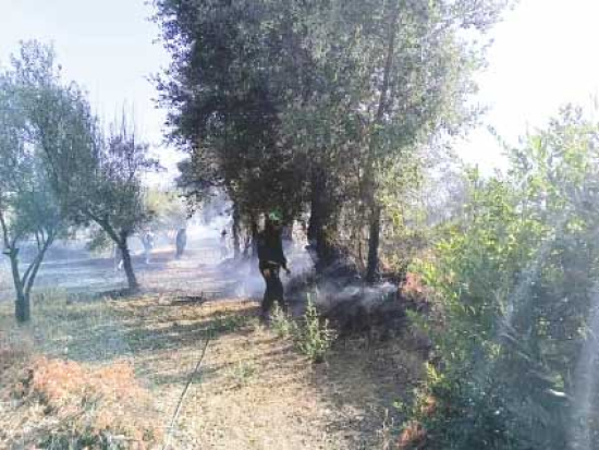 محاصرة حريق مهـول بغابـــة إيفغاء في عزازقــــة