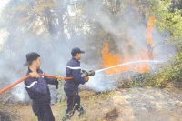27 حريقا بغابات ولاية الجزائر منذ بداية جوان