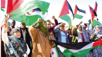 نهب الموارد وراء تشبّت المغرب باحتلالـــــه للصّحـــراء الغربيــة