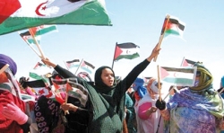 الأمم المتّحدة تتنكّر لحق الشّعب الصحراوي في تقرير مصيره