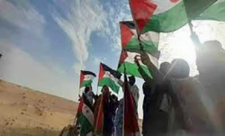 مقرّرة أمميـة تُطالـب المغـرب بوضع حدّ لقمع الحقوقيــين الصحراويـين
