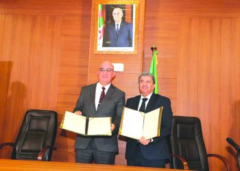 الأمازيغية والعربية والإسلام أركـان أصيلـة للهويـة والوحـدة