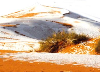 الرمال الذهبيـة.. وجهة عالمية للدفء والاكتشاف