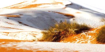 الرمال الذهبيـة.. وجهة عالمية للدفء والاكتشاف