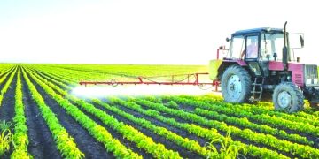 الجزائـر منتصرة بتوجيهـات رئيـس الجمهوريــة