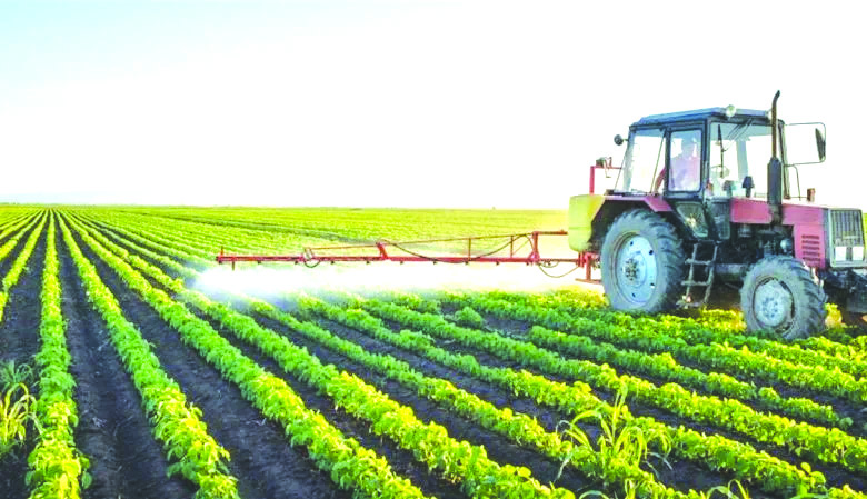 الجزائـر منتصرة بتوجيهـات رئيـس الجمهوريــة