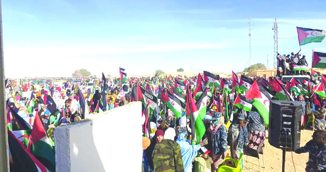 منظّمـة “اللاّعنف الدّولية” تجـدّد التزامهـا بتعزيـز التّضامن مع الصّحراويّين