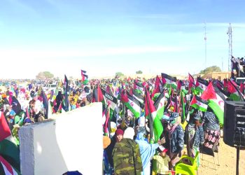 منظّمـة “اللاّعنف الدّولية” تجـدّد التزامهـا بتعزيـز التّضامن مع الصّحراويّين