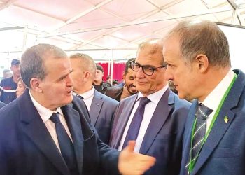 تمنراست.. قطب صناعي مستقبلي بامتياز