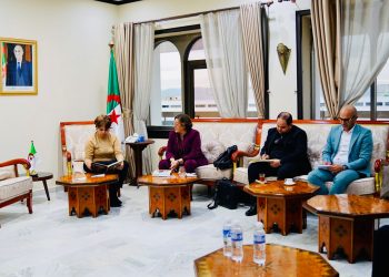 بن دودة تعقد لقاءات تشاورية مع المهنيّين السّينمائيــّين