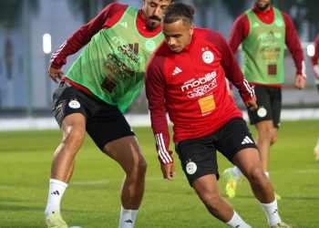 «الخضر» يواصلون تحضيراتهم  المكثّفة بسيدي موسـى