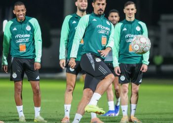 ”الخضـر”  يكثّفـون تحضيراتهم ويرفعــون التحـدي