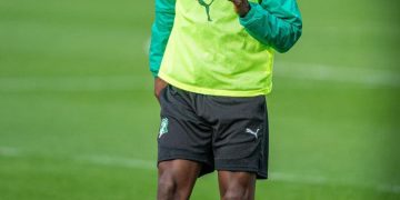 «الفيلة» تصطـدم بــ «الأسود غـير المروّضة»