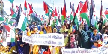 الصحراء الغربية.. محنة الشرعية الدولية