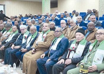 الجنوب الكبير.. مسار بارز في مقاومة الاحتلال الفرنسي