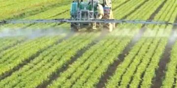 النعامـة.. محفظـة عقارية جديـدة للاستثمار الفلاحي