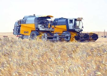 آفـاق واعدة للاستثمار في الزراعات الإستراتيجيـة