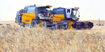 آفـاق واعدة للاستثمار في الزراعات الإستراتيجيـة