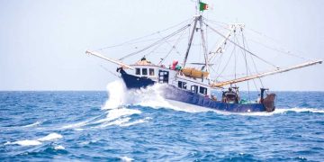 تشديد الرّقابة وتفعيل العقوبات الإدارية والجزائية