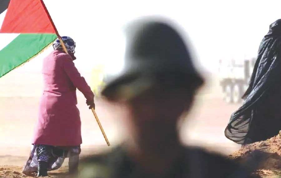 هيئـات حقوقيـة تطالـب بإنقـاذ الأســرى الصّحراويّـين