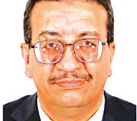 الجـزائـر المنتـصـرة.. ذاكرة حيّة وتاريخ مجيد