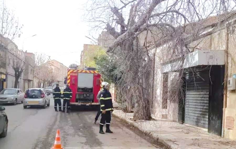 هبة وطنية لمواجهة العاصفة