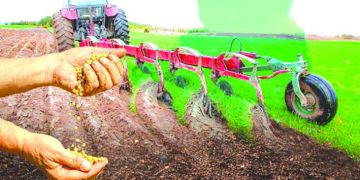 القـطاع الفلاحي في  صلـب الثـورة التنمـويـة الجديـدة