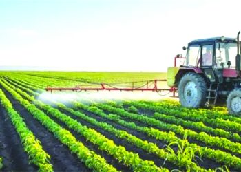 قـرارات الرئيس ضمانة للأمـن الغذائي والاكتفاء الذاتي