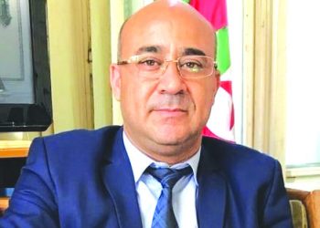 دور جزائري مركزي في التنمية الاقتصادية الإفريقية