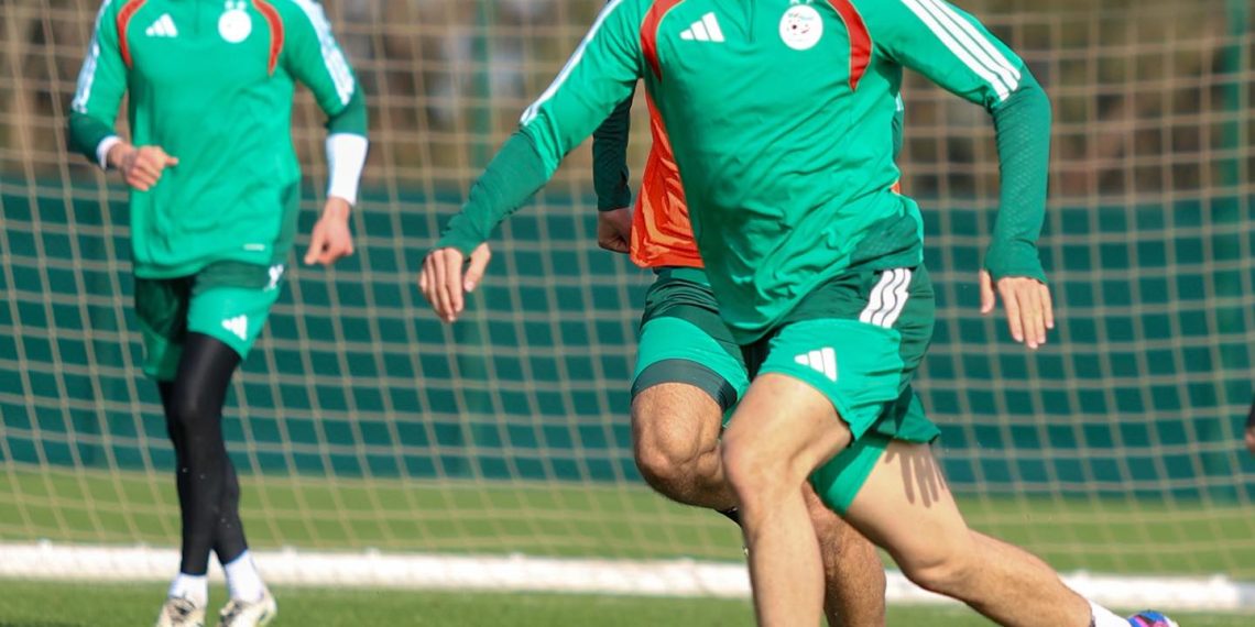 ”الخضـر” يواصلون التحضــيرات بمعنويات مرتفعـة