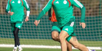 ”الخضـر” يواصلون التحضــيرات بمعنويات مرتفعـة